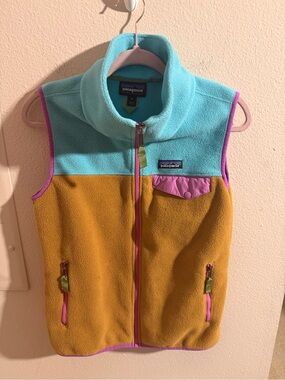 Patagonia Synchilla Snap-T Fleece Vest Blue Brown Pink Women’s Small